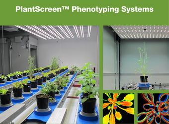 PlantScreen高通量植物表型成像分析平台（传送带版）（一）