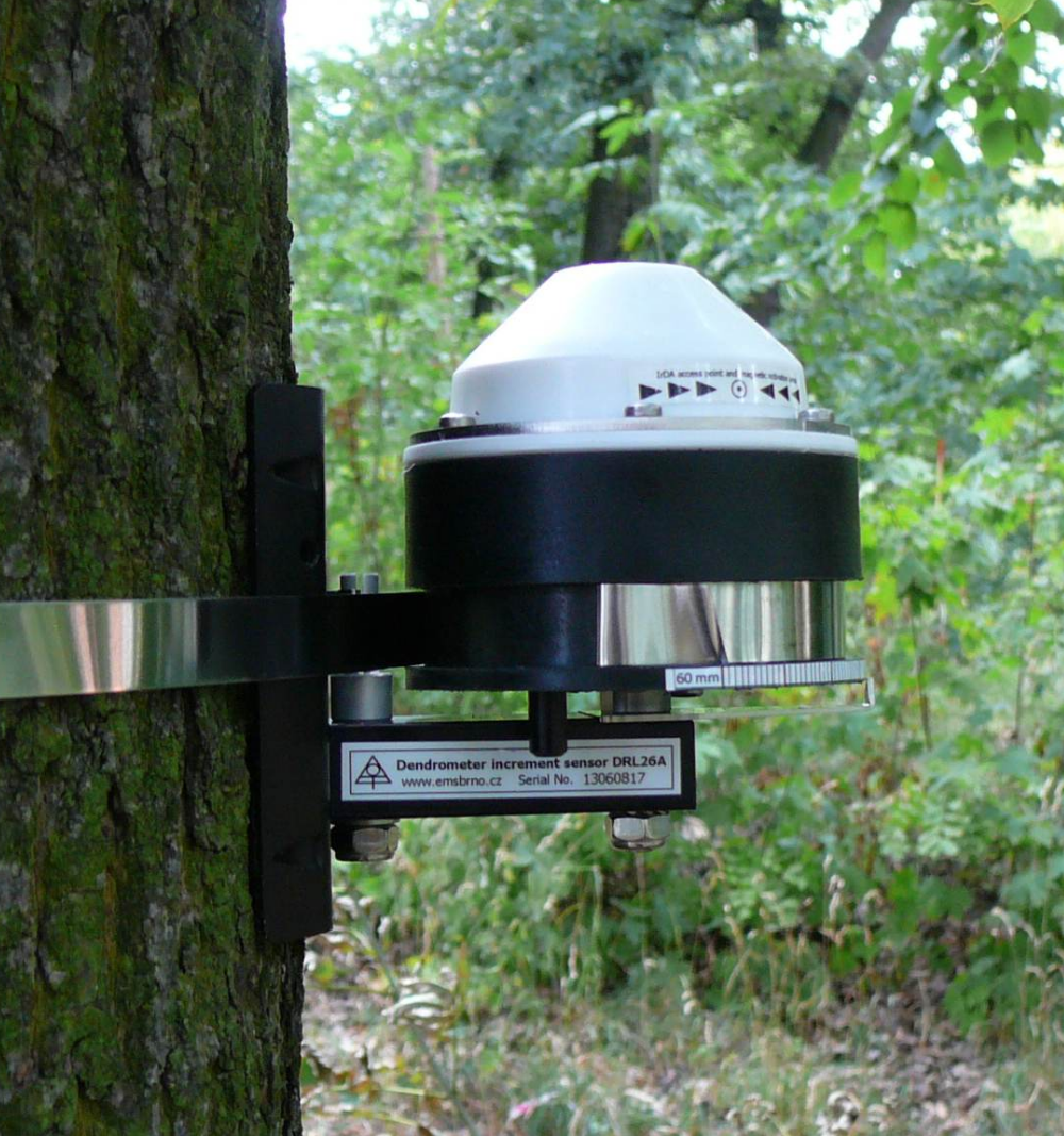 DRL26C树木生长测量仪
